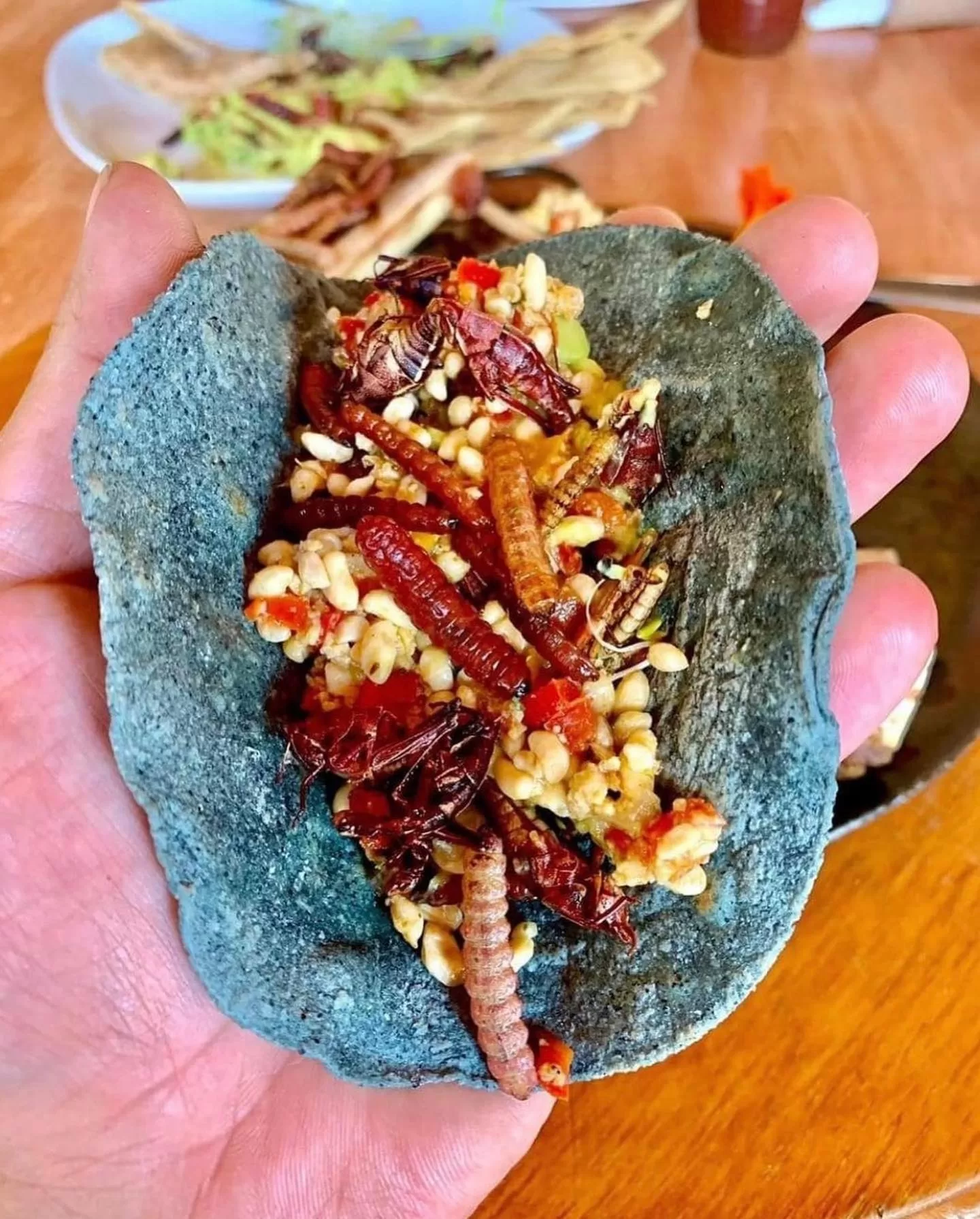 Tacos de gusanos de maguey en Mineral de Pozos, Guanajuato
